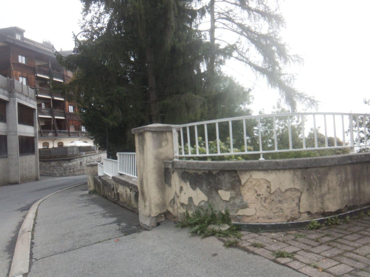 photo_2025-11-14_10-47-29