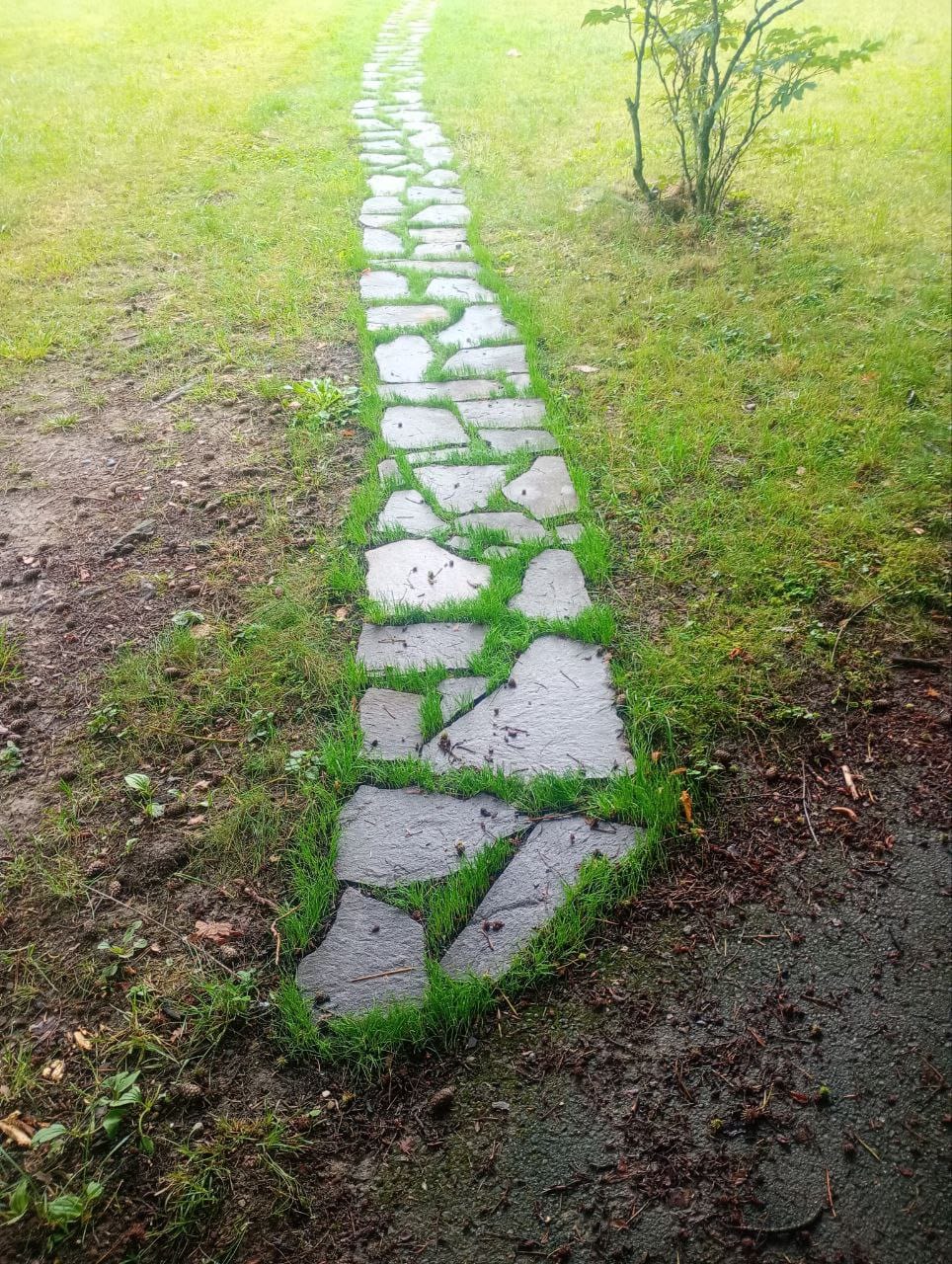 photo_2025-11-14_10-47-41 (8)